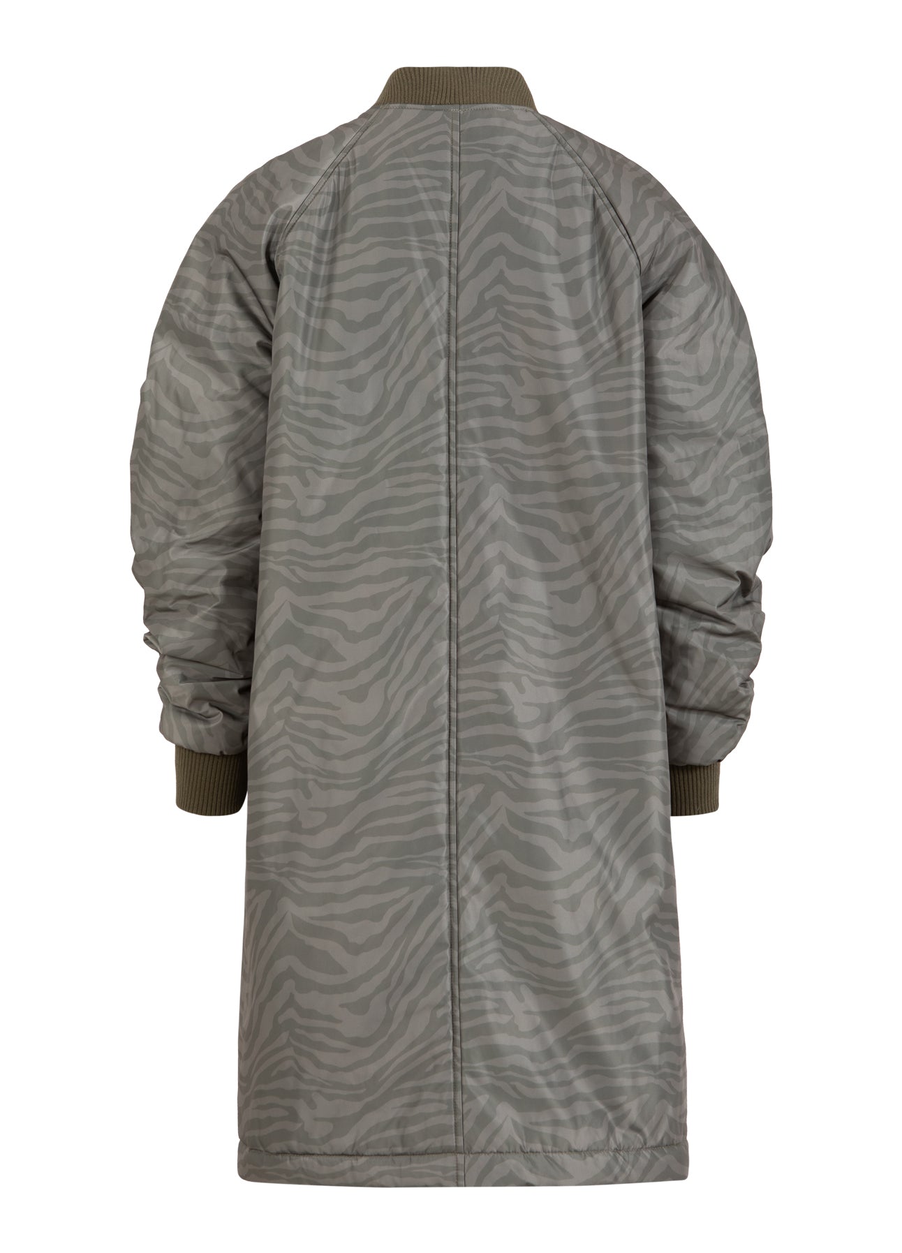 Zebra Jacket