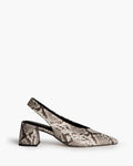 Zapato Snake