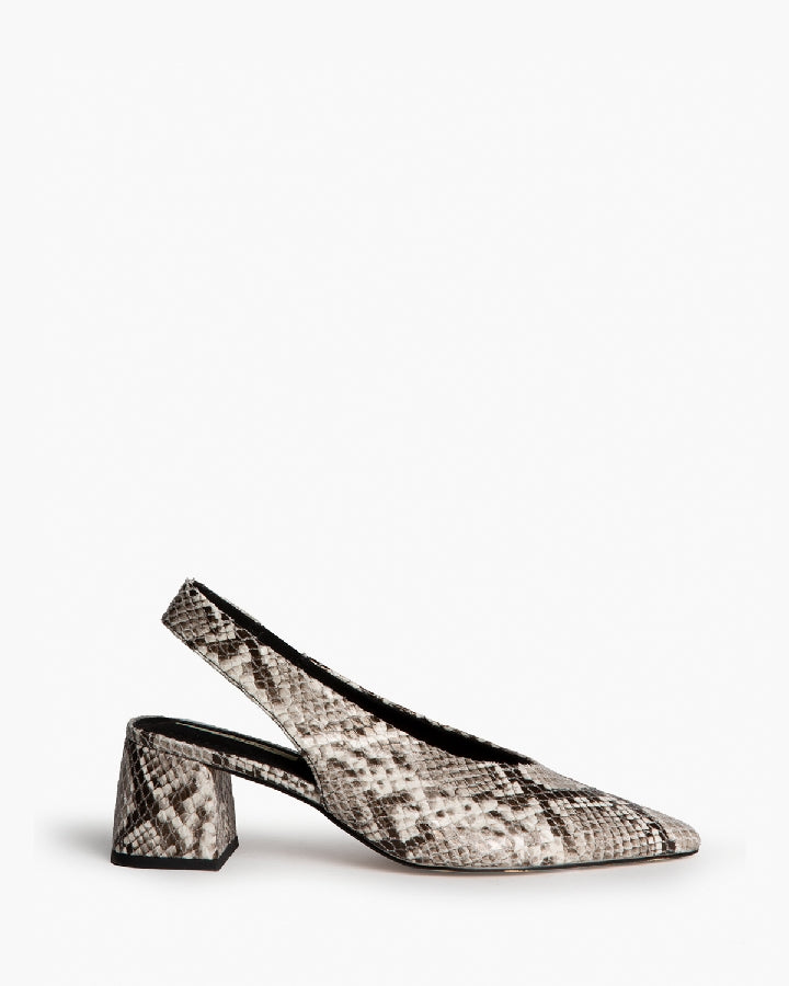 Zapato Snake