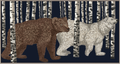 Pañuelo Ours